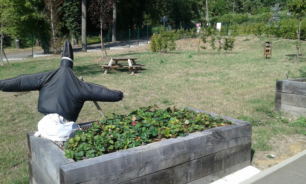 20150805 163806 resized